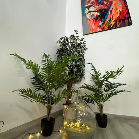 Dream Loft Sc Σάντα Κρουζ Τενερίφης